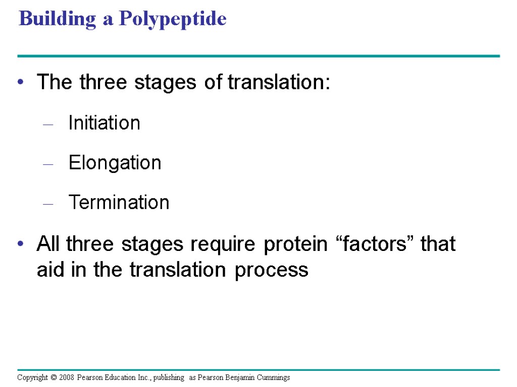 Building a Polypeptide The three stages of translation: Initiation Elongation Termination All three stages
